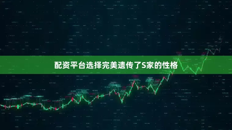 配资平台选择完美遗传了S家的性格