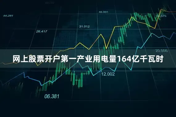 网上股票开户第一产业用电量164亿千瓦时
